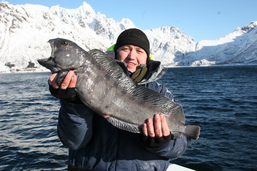 The ugly wolf fish was not going to give up even landed