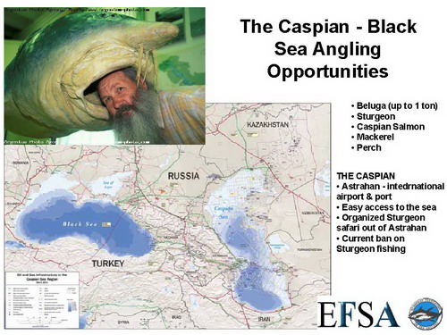 The Caspian and the Black Sea angling opportunites