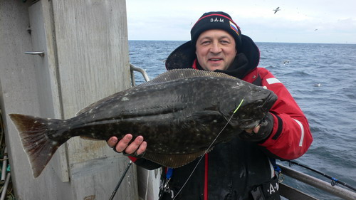 Довольно редкая добыча для морского рыболова - палтус на 5,2 кг у Дмитрия Батурина