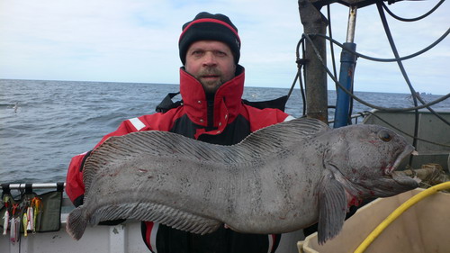 Even more better! Excellent 4,5 kg catfish for Alexandr Gusev!