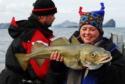 Another excellent cod for our brave little Elena!