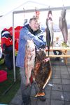 The 10,1 kg halibut and the winner haddock are turned around